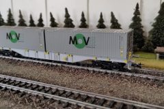 Sgns-Containerwagen-mit-Container