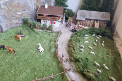 Alp mit Weide