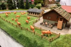 Bauernhof mit Weide