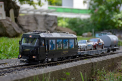 Faszination Gartenbahn