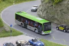 BLS Bus