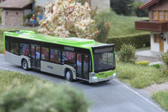 BLS Bus