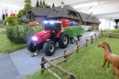 auf der Weide
