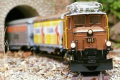 Krokodil-mit-Gueterzug