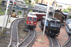 Faszination Gartenbahn