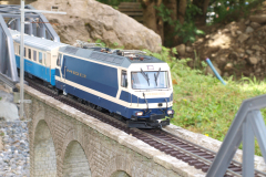 Faszination Gartenbahn